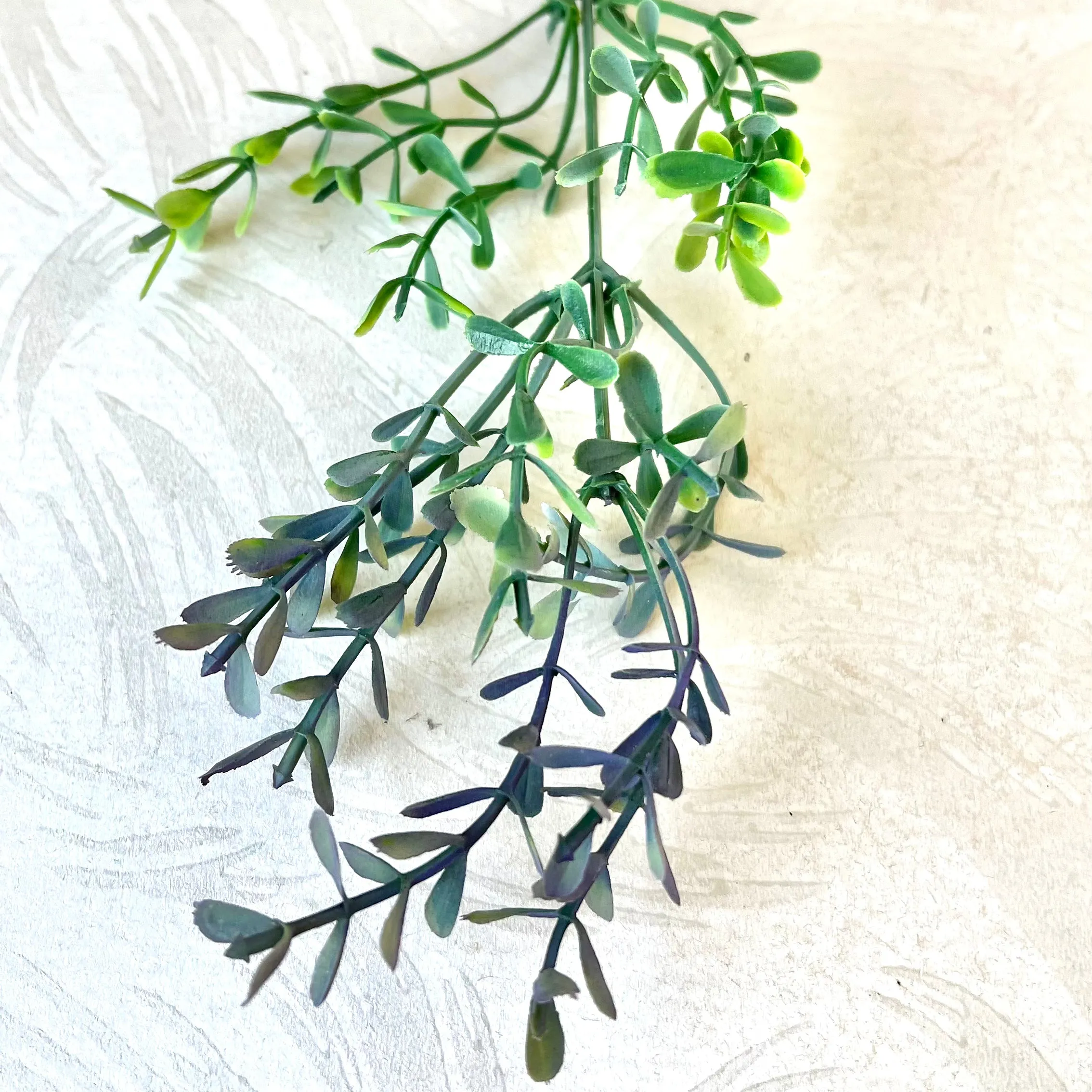 Variegated Foliage Spray